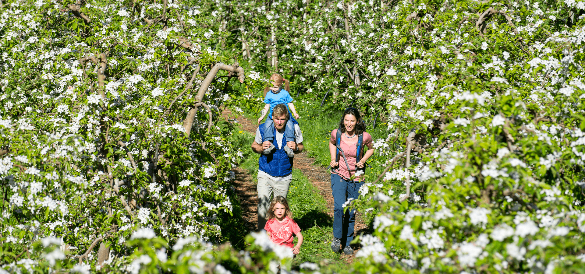 frühling wandern