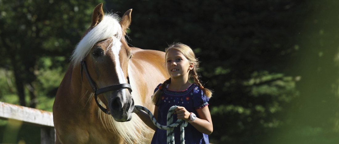 Il nonplusultra per gli amanti dei cavalli: gite a cavallo attorno a Siusi