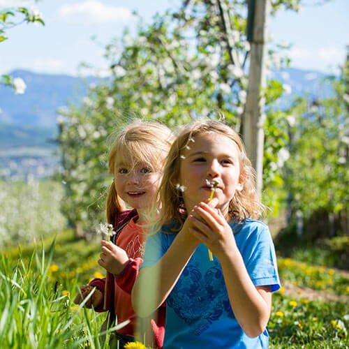 Südtirol Land & Leute